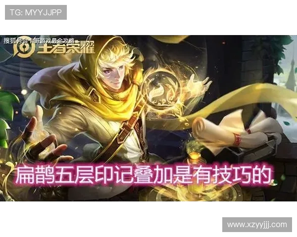 V5战队的崛起之路：从挑战到荣耀的精英赛特别回顾